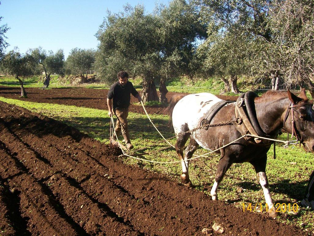 فيلا Torittoفي Agriturismo Armienti المظهر الخارجي الصورة